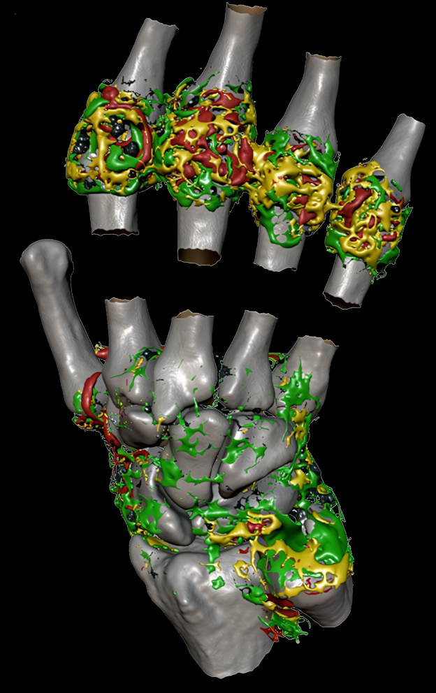 Trial design and imaging strategy services